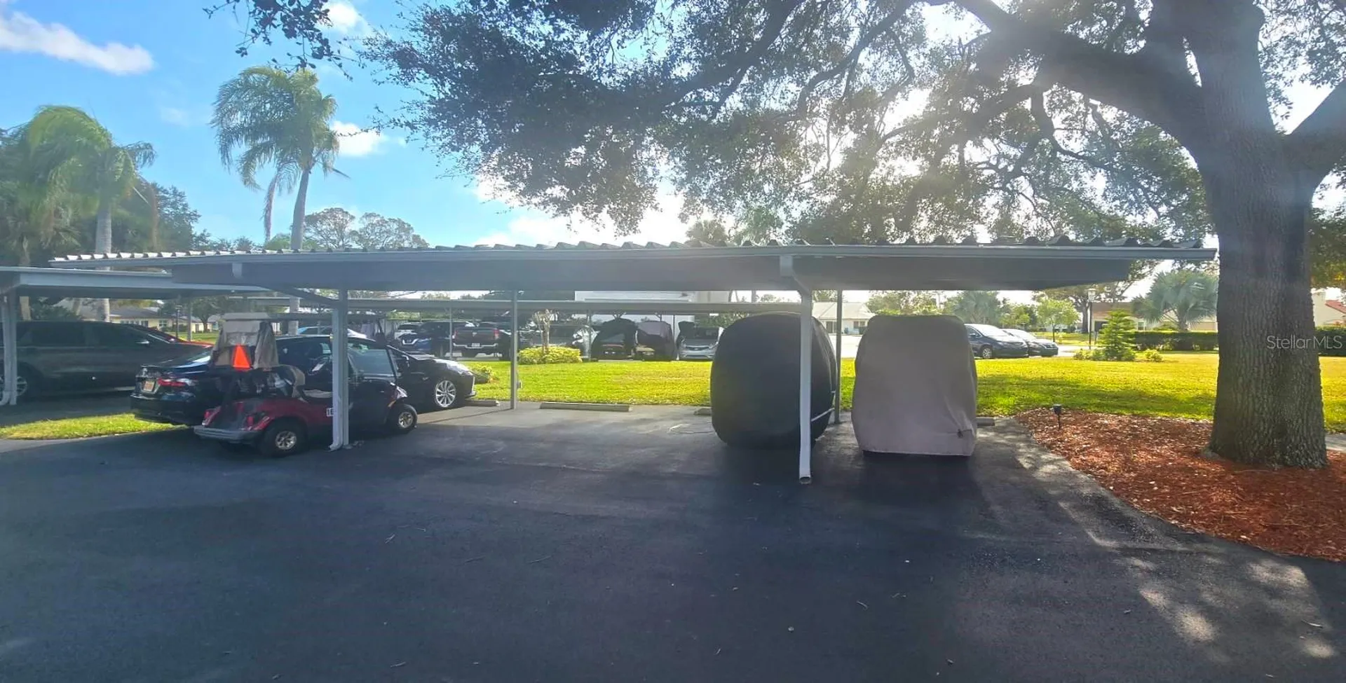 1001 Tartan Drive Palm Harbor FL 34684
