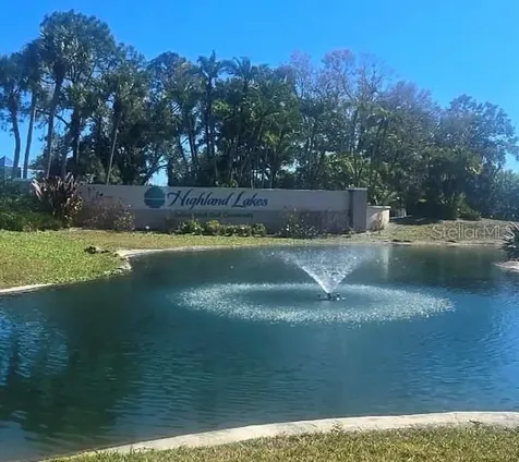 1001 Tartan Drive Palm Harbor FL 34684