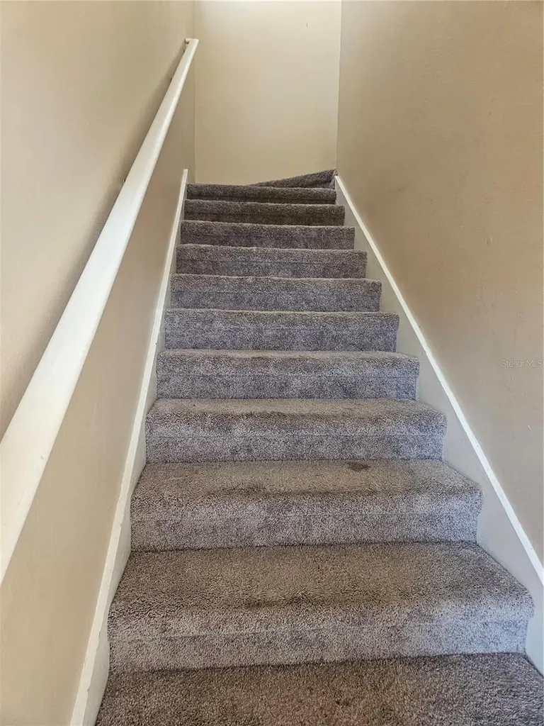 17962 Villa Creek Drive Tampa FL 33647