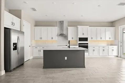 16848 Hamlin Vista Alley Winter Garden FL 34787