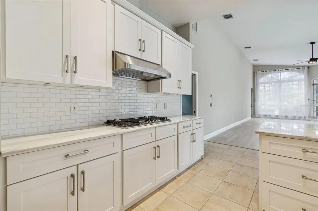 3351 Bristol Place Tarpon Springs FL 34688