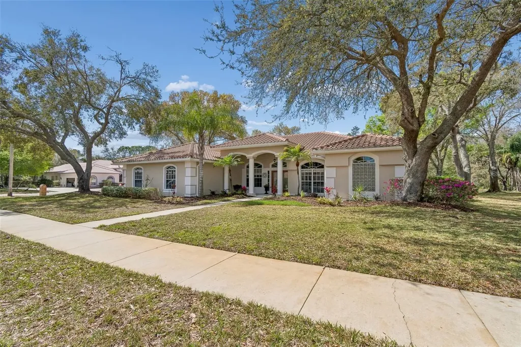 3351 Bristol Place Tarpon Springs FL 34688