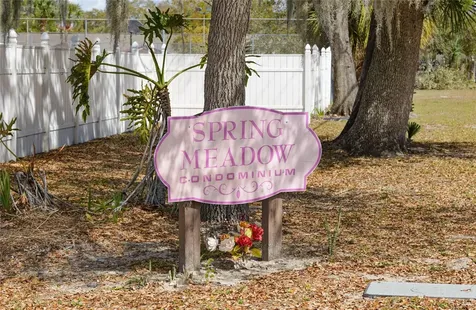 1023 Spring Meadow Drive Kissimmee FL 34741