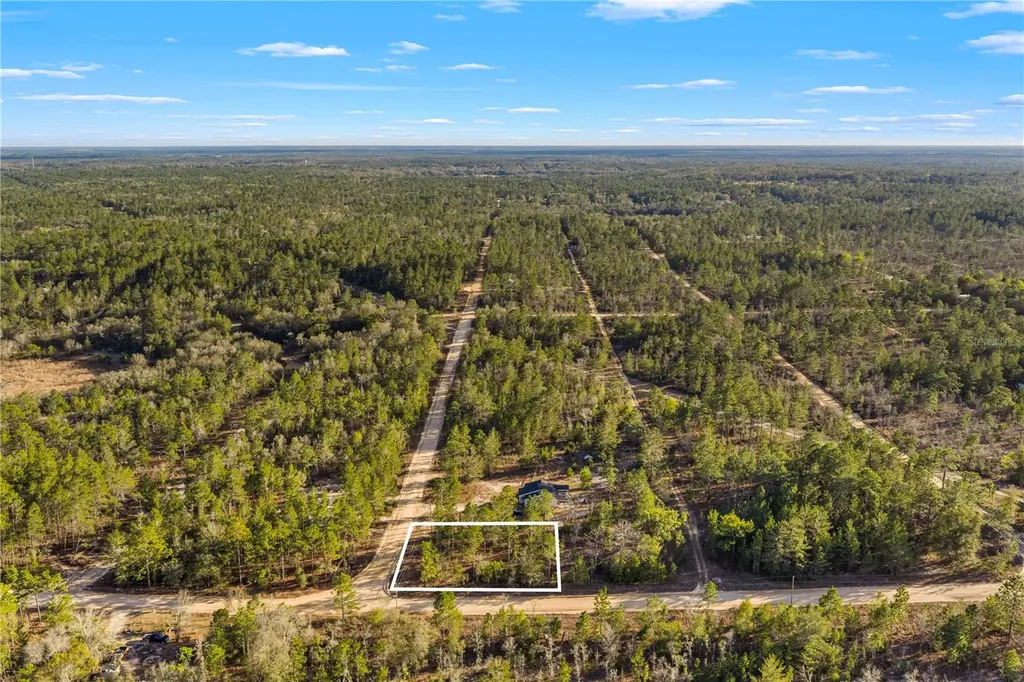 000 Rose Street Interlachen FL 32148