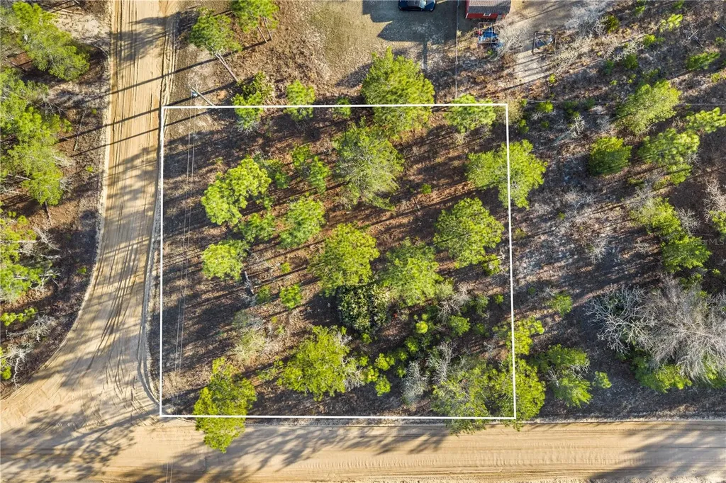 000 Rose Street Interlachen FL 32148