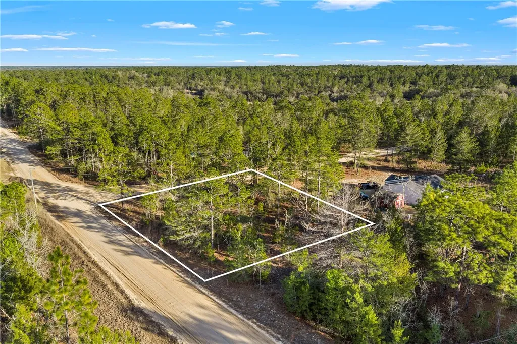 000 Rose Street Interlachen FL 32148
