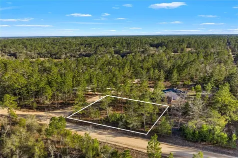 000 Rose Street Interlachen FL 32148