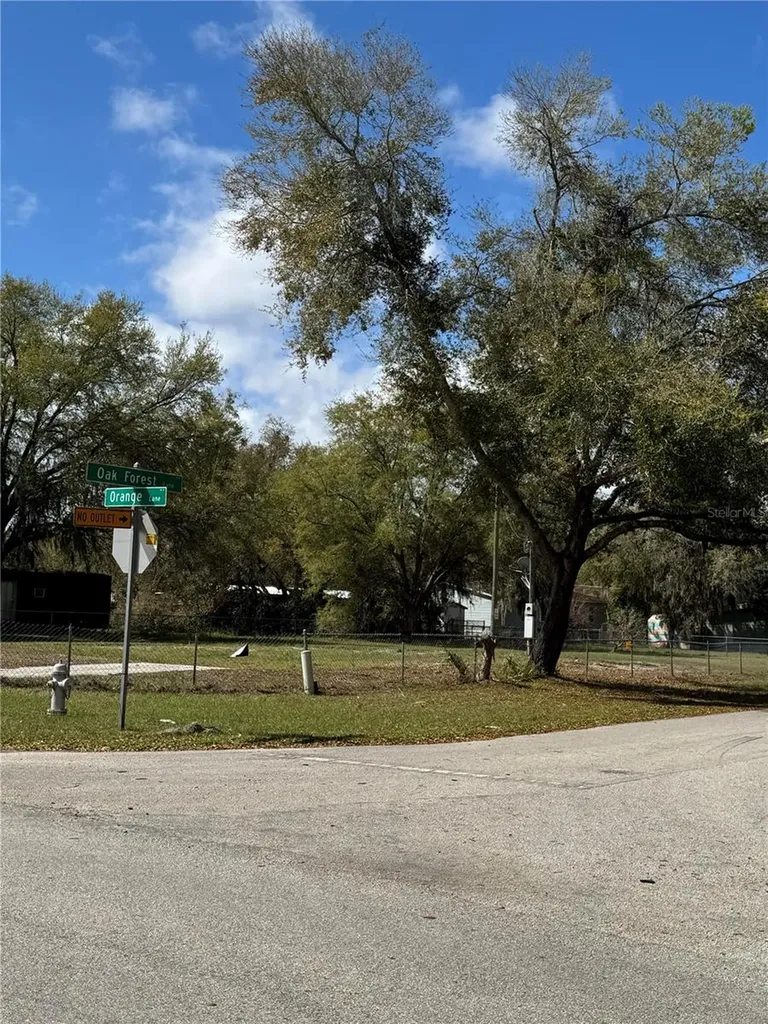 1700 Orange Lane Kissimmee FL 34746