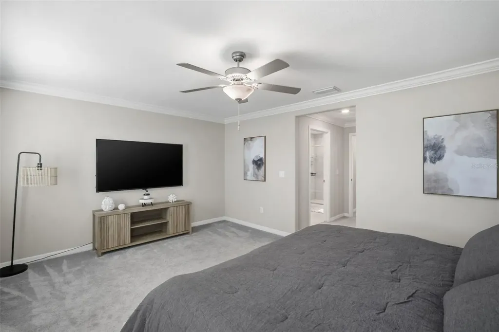 1488 Cassius Street Lutz FL 33549