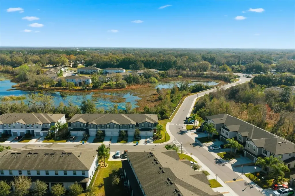 1488 Cassius Street Lutz FL 33549