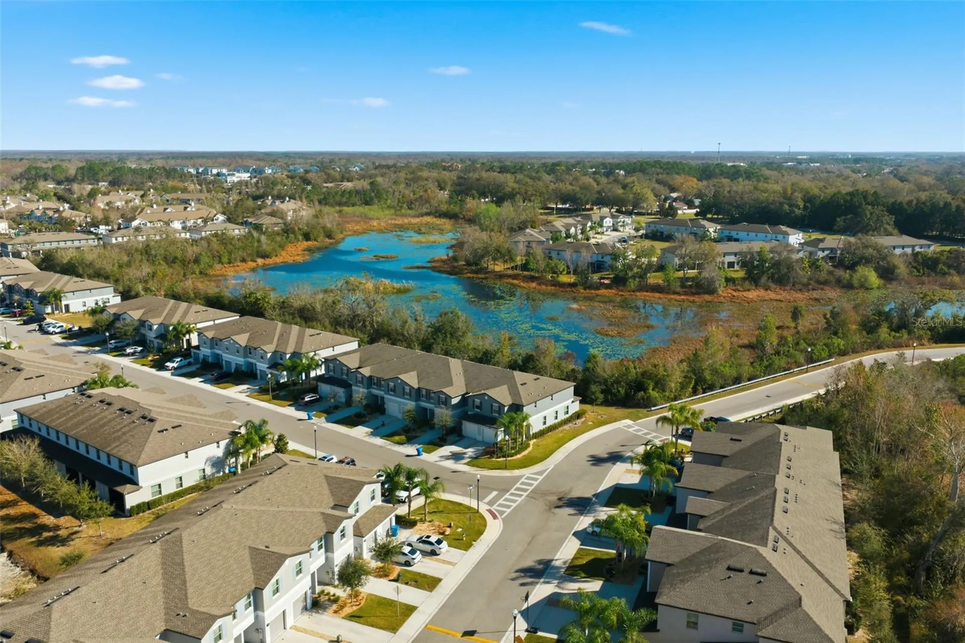 1488 Cassius Street Lutz FL 33549