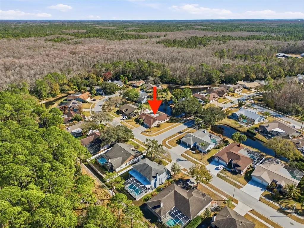 5860 Windermere Drive Palm Harbor FL 34685