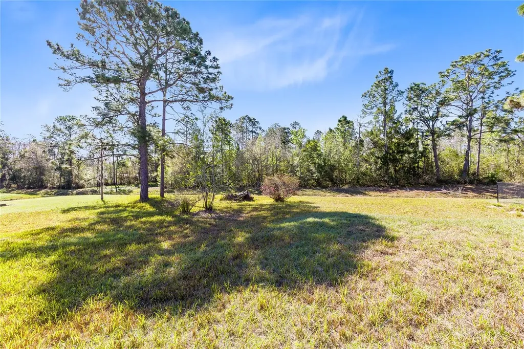 19562 Majestic Street Orlando FL 32833