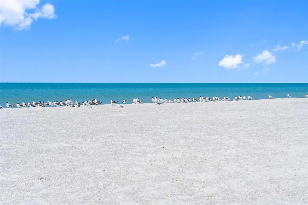 3100 Gulf Boulevard Belleair Beach FL 33786