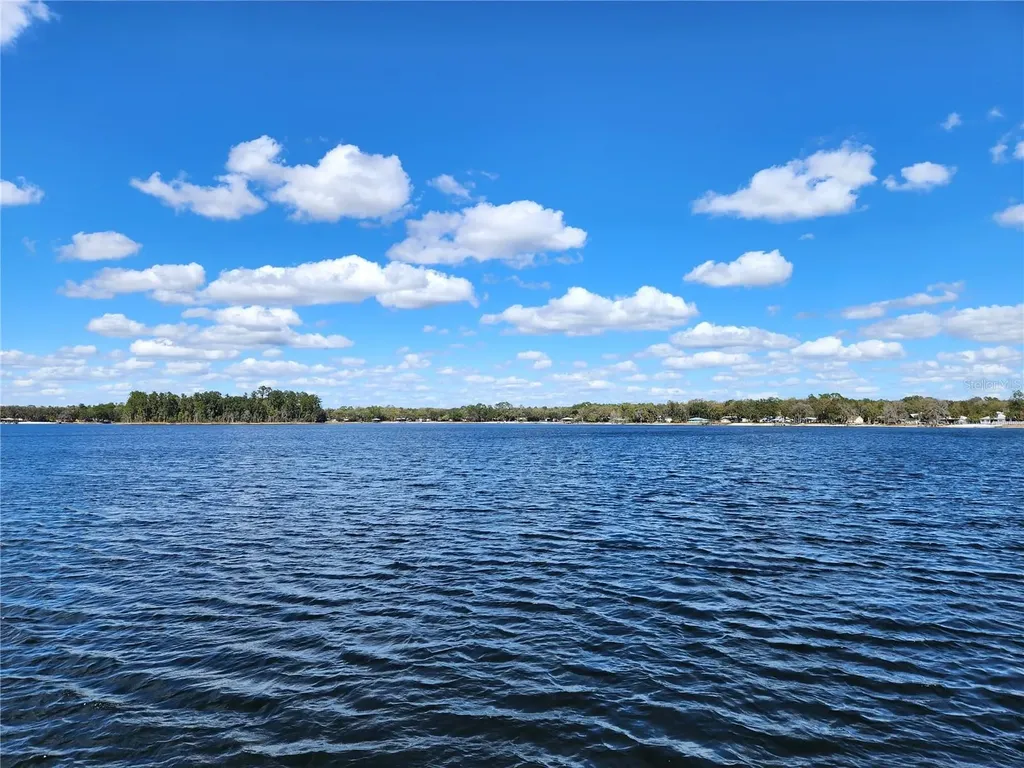 10915 NE 222nd Street Fort Mc Coy FL 32134