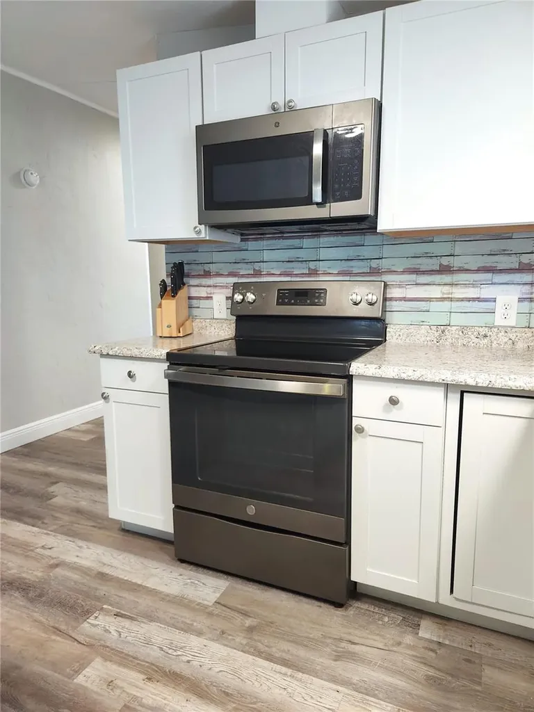 10915 NE 222nd Street Fort Mc Coy FL 32134
