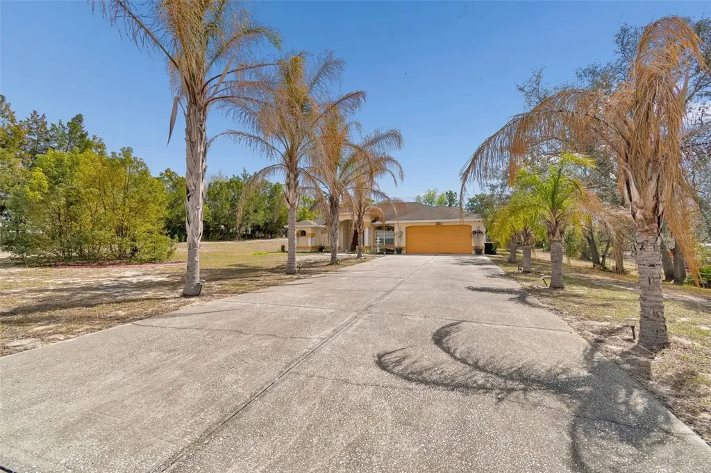 16402 Fringe Tree Drive Spring Hill FL 34610