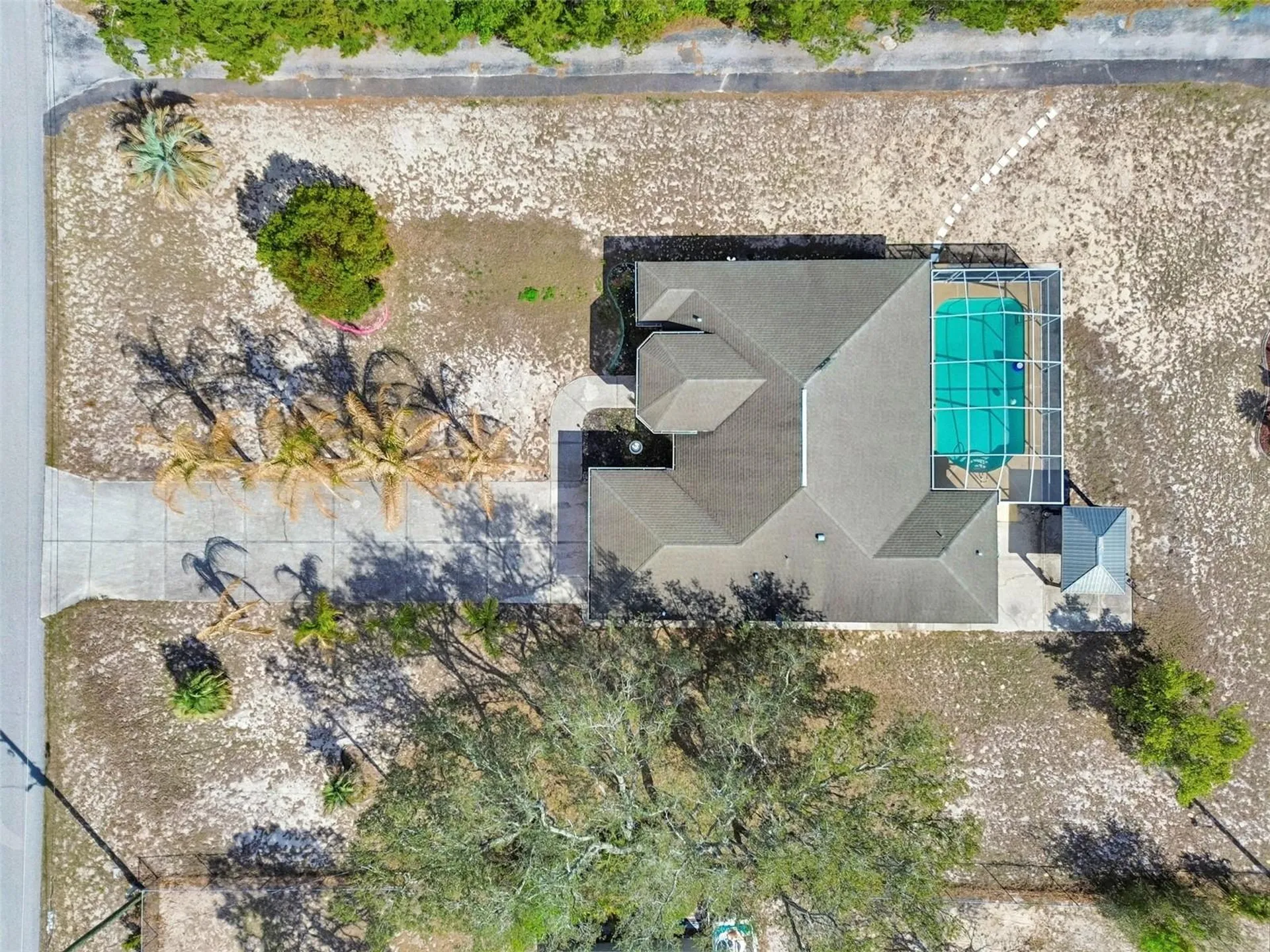 16402 Fringe Tree Drive Spring Hill FL 34610