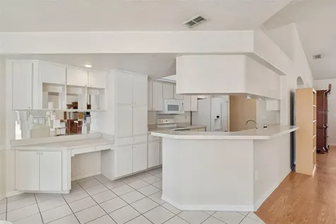 16402 Fringe Tree Drive Spring Hill FL 34610