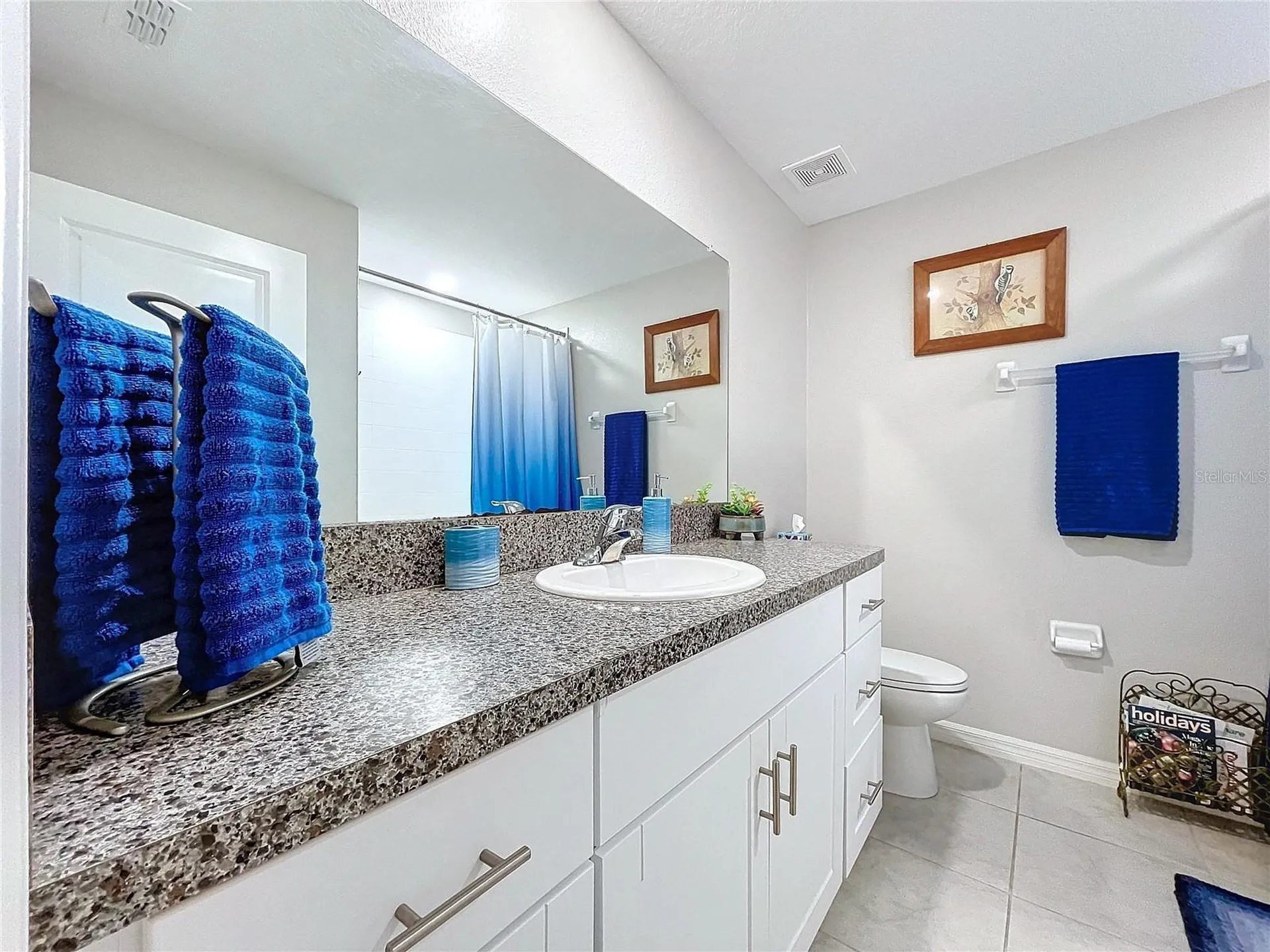 197 Rain Berry Avenue Ruskin FL 33570