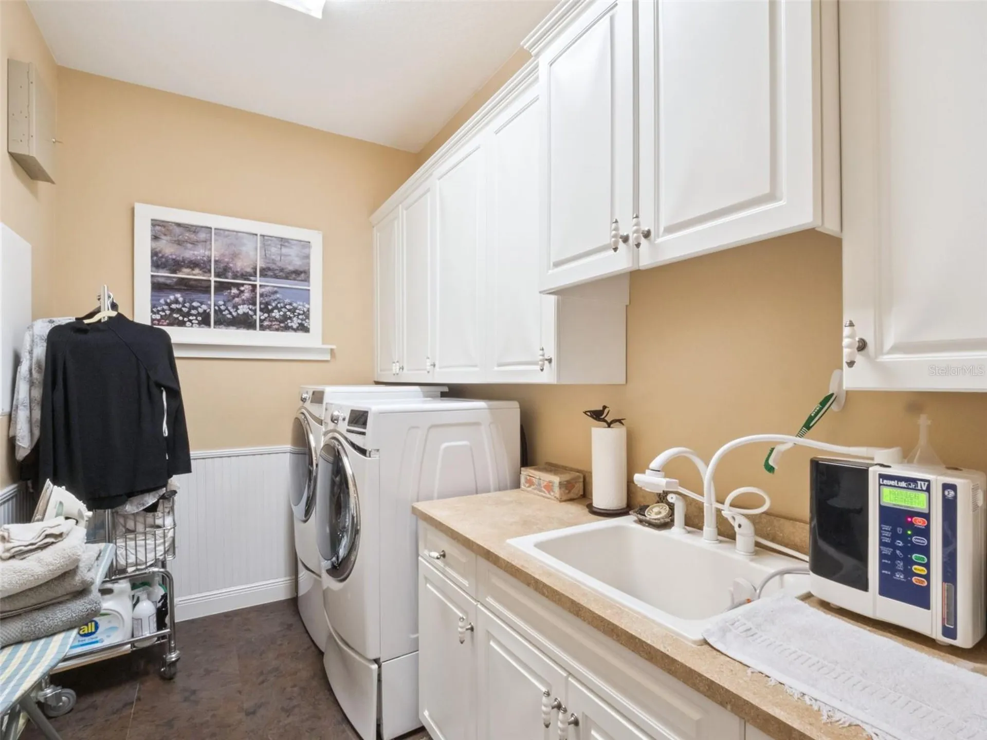 1490 Lakeshore Drive Mount Dora FL 32757