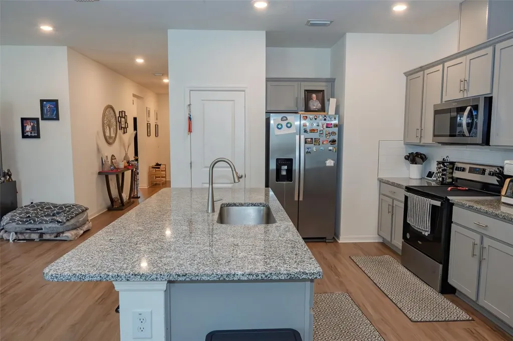 20147 Azul Marble Loop Land O Lakes FL 34638
