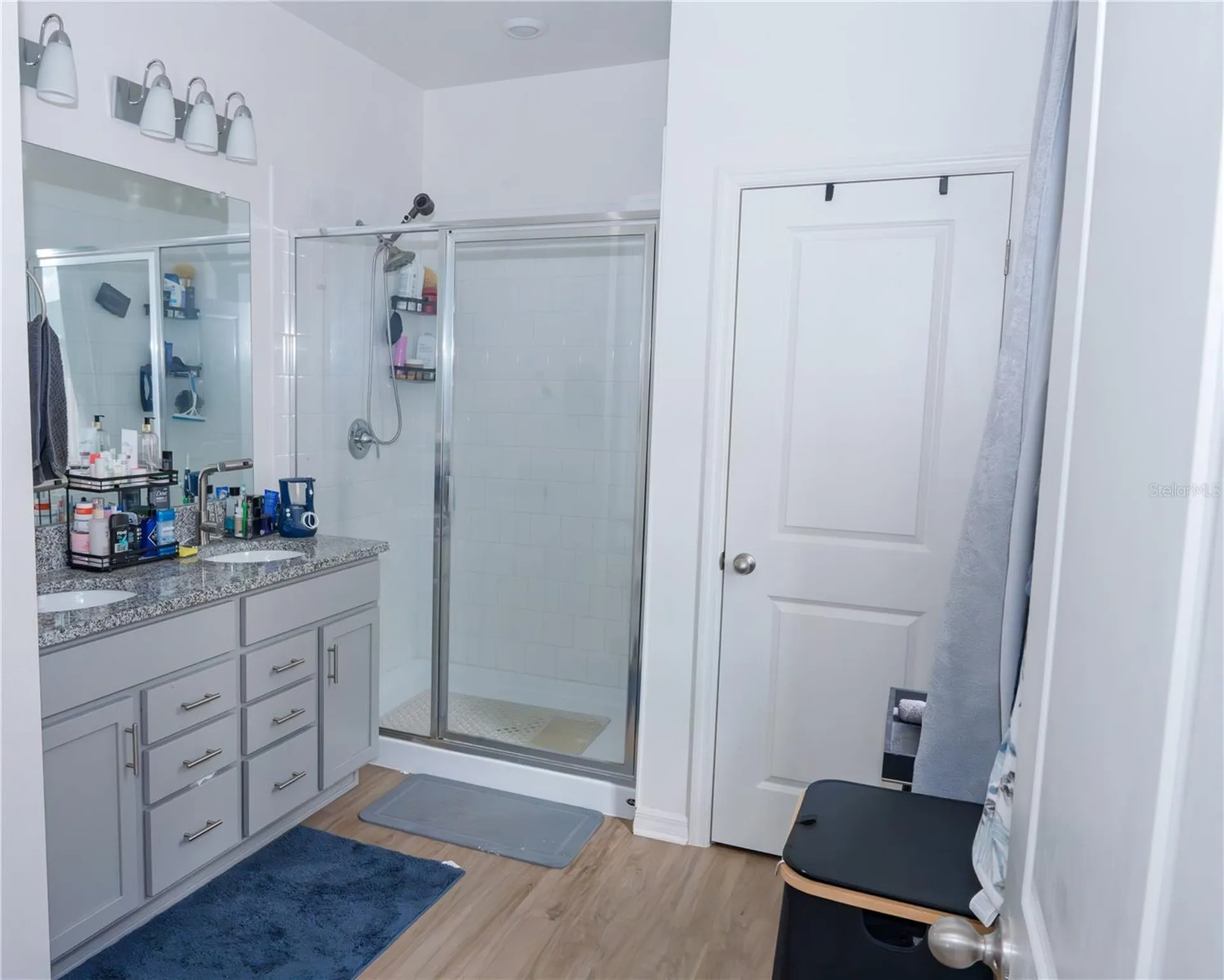 20147 Azul Marble Loop Land O Lakes FL 34638