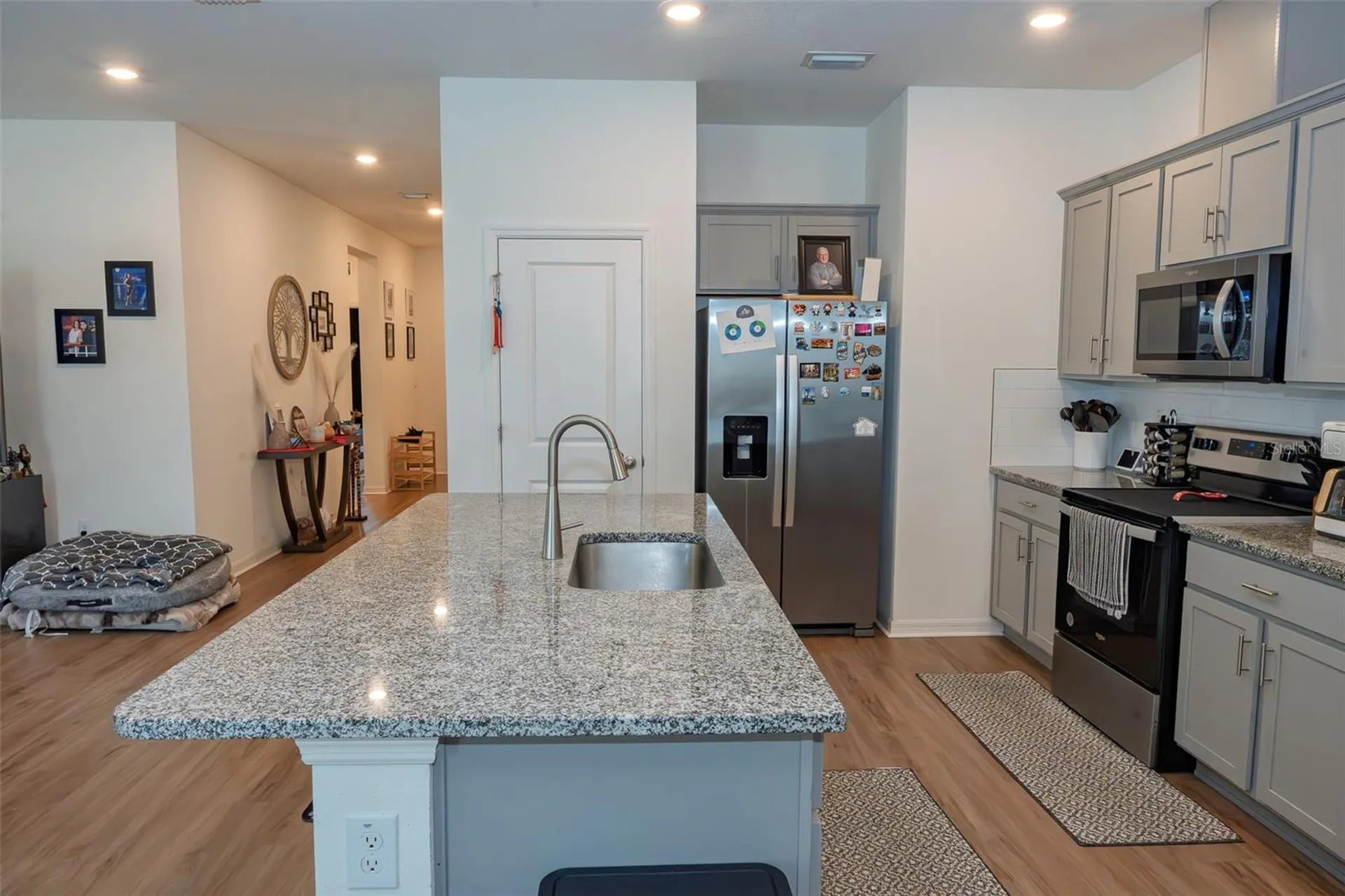 20147 Azul Marble Loop Land O Lakes FL 34638