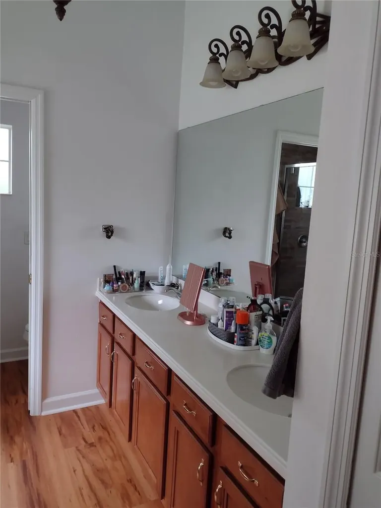 2006 Bayside Avenue Mount Dora FL 32757