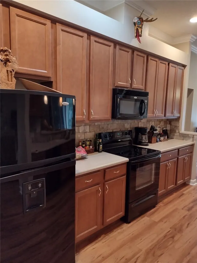 2006 Bayside Avenue Mount Dora FL 32757