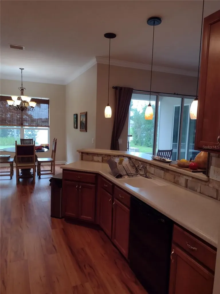 2006 Bayside Avenue Mount Dora FL 32757
