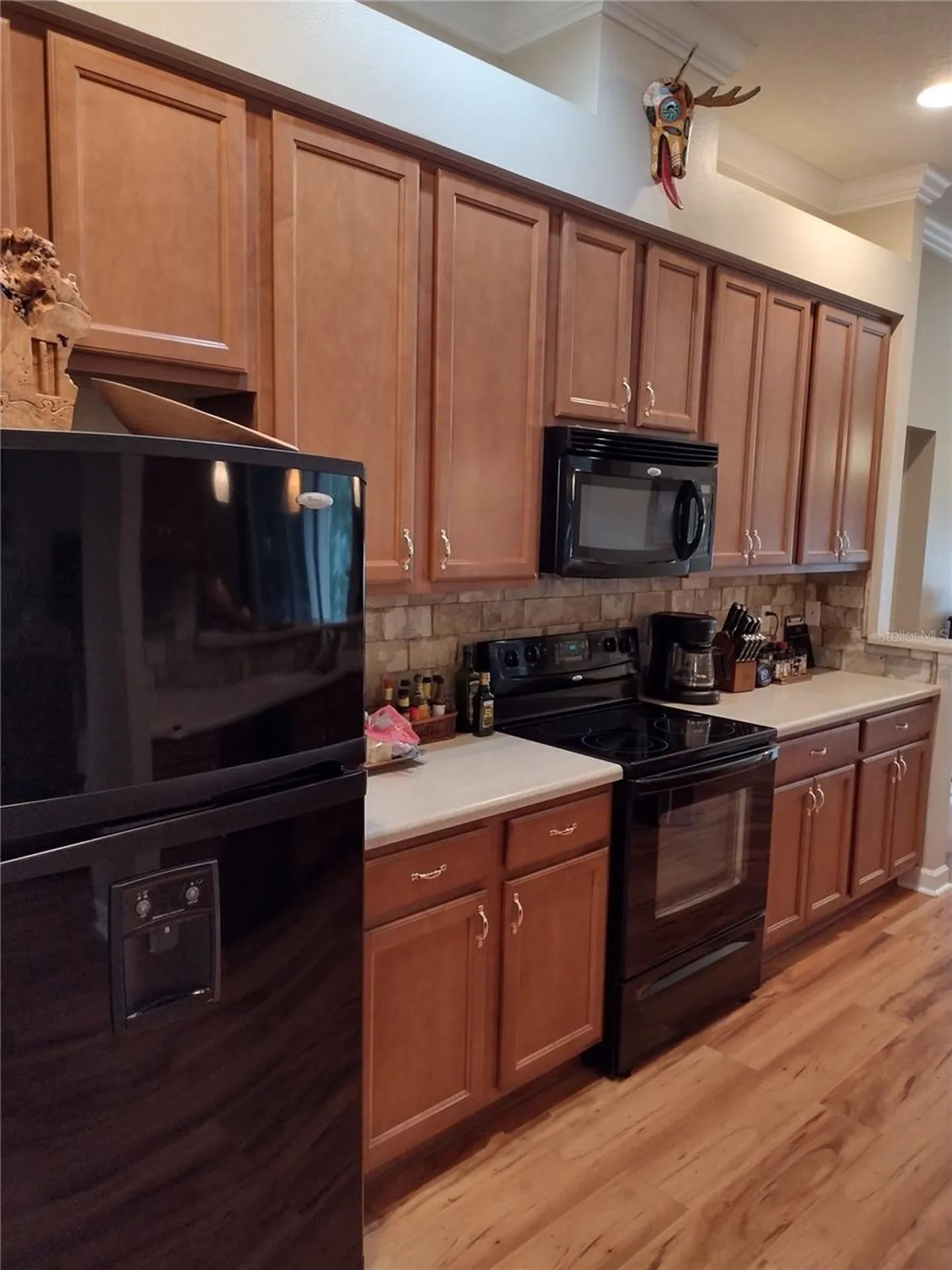 2006 Bayside Avenue Mount Dora FL 32757