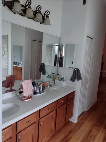 2006 Bayside Avenue Mount Dora FL 32757