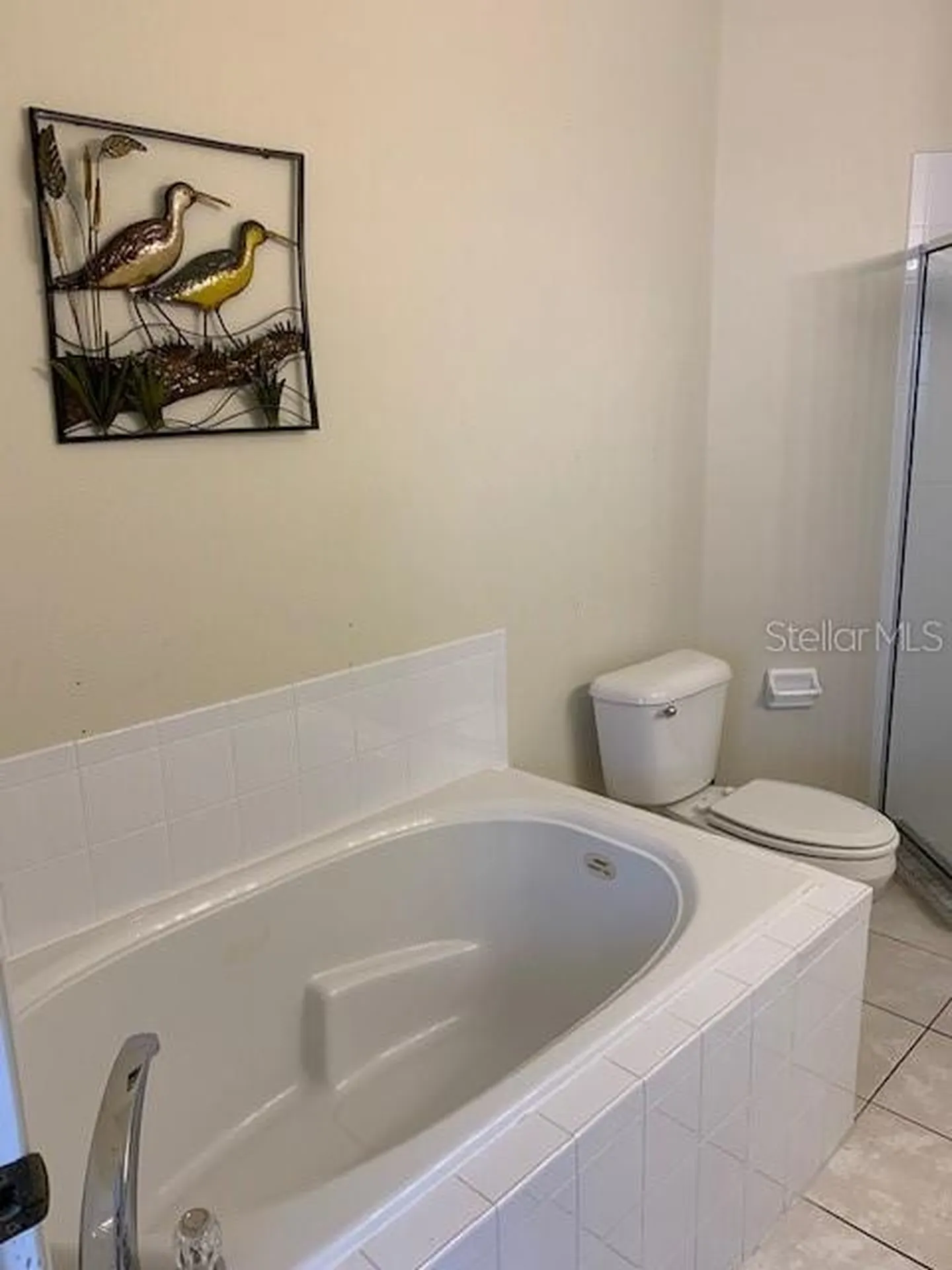 16644 Fresh Meadow Drive Clermont FL 34714