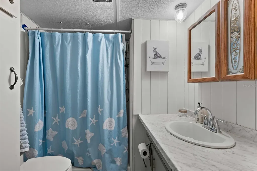 37332 Sandra Avenue Zephyrhills FL 33542