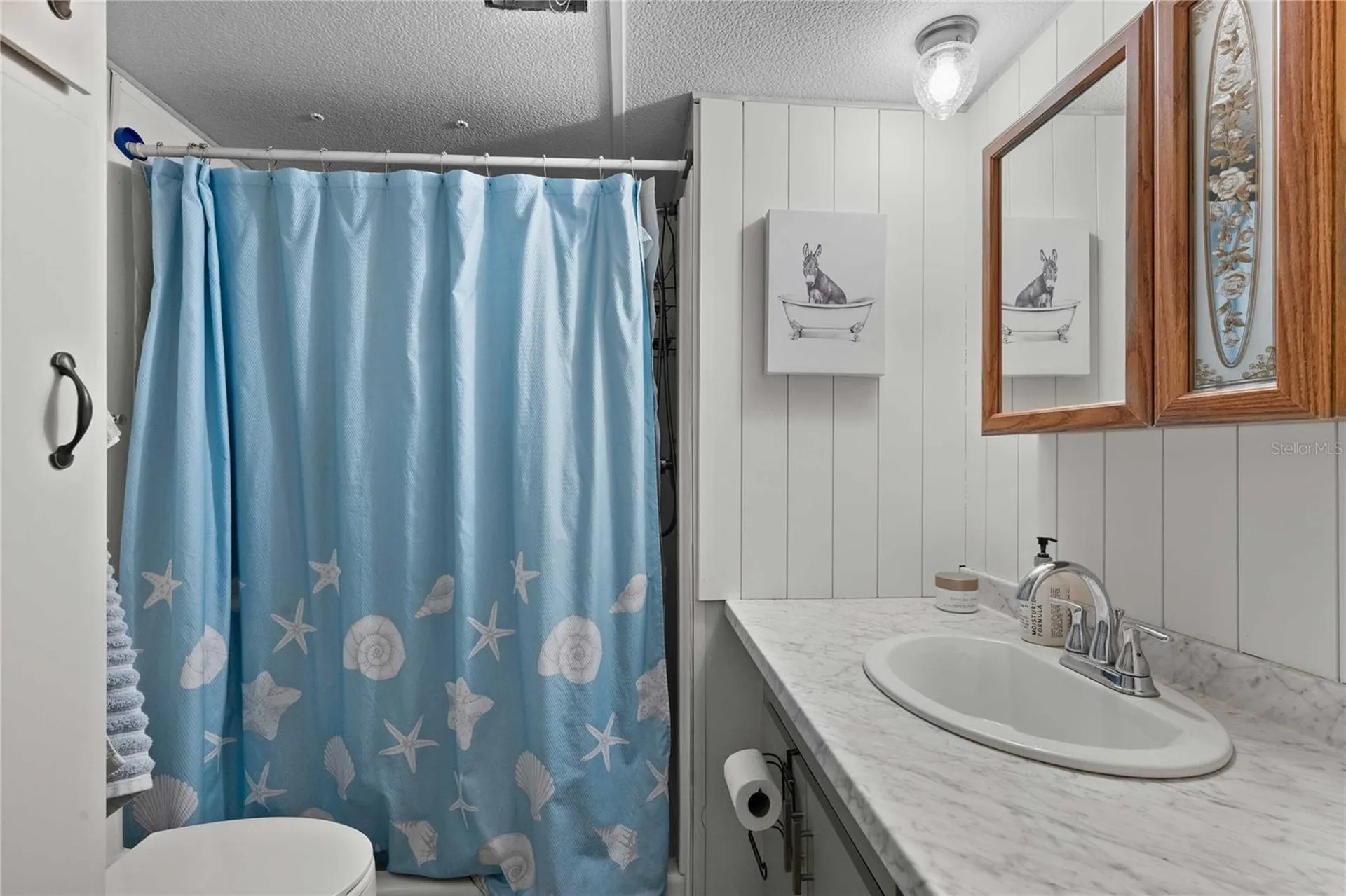 37332 Sandra Avenue Zephyrhills FL 33542