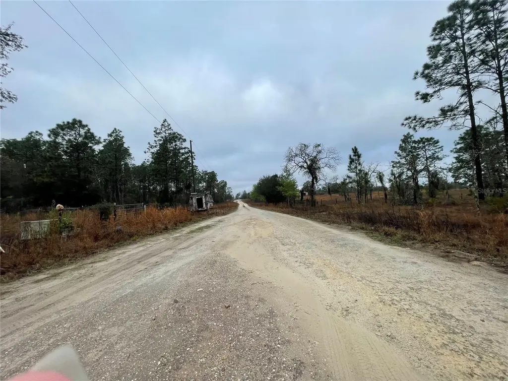 Tbd SE 71 Street Morriston FL 32668