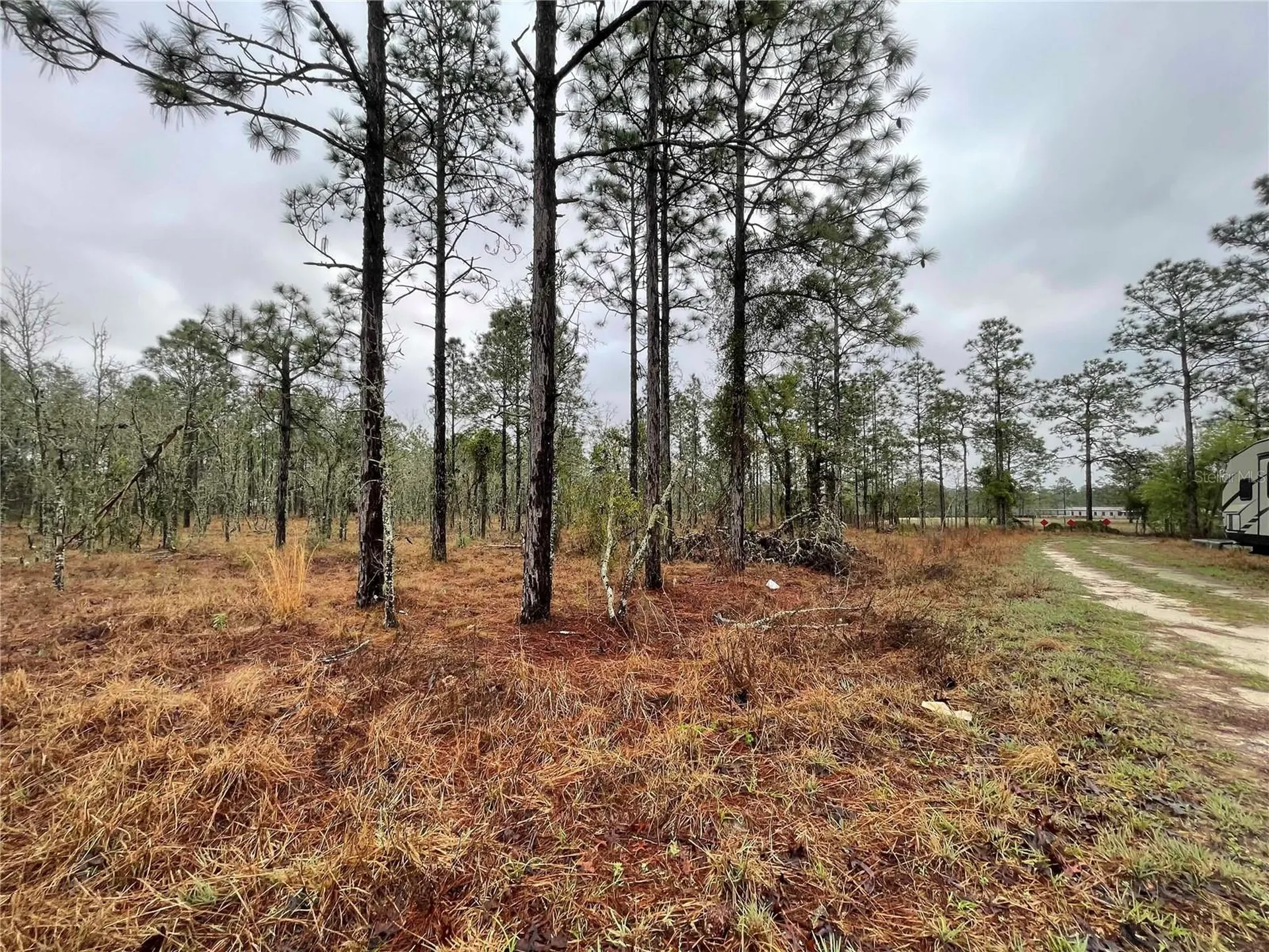 Tbd SE 71 Street Morriston FL 32668