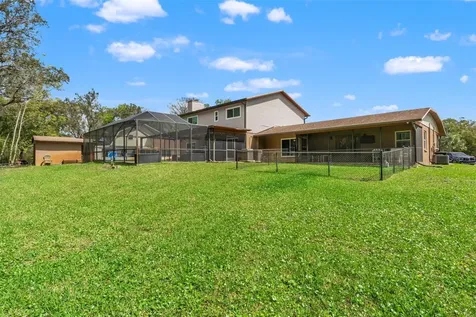 1357 Dinsmore Court New Port Richey FL 34655
