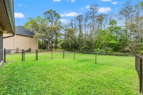 1357 Dinsmore Court New Port Richey FL 34655