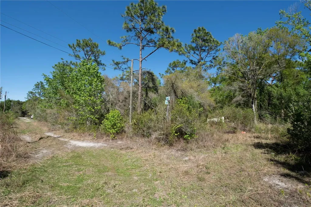 12934 Tanner Road New Port Richey FL 34654