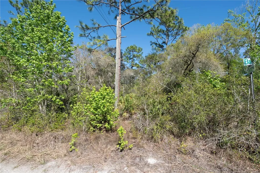 12934 Tanner Road New Port Richey FL 34654