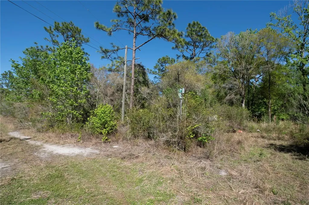 12934 Tanner Road New Port Richey FL 34654
