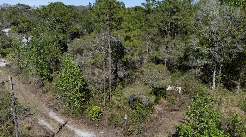 12934 Tanner Road New Port Richey FL 34654