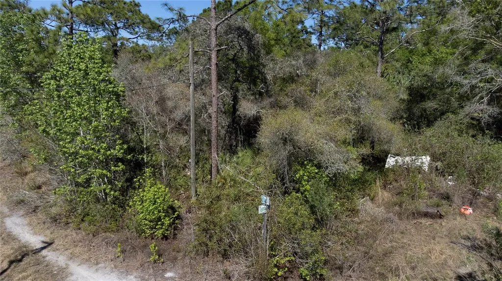 12934 Tanner Road New Port Richey FL 34654