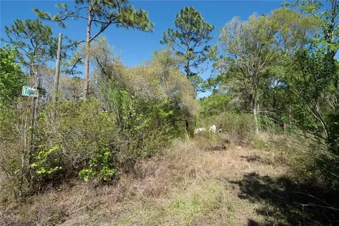 12934 Tanner Road New Port Richey FL 34654