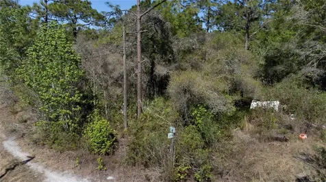 12934 Tanner Road New Port Richey FL 34654