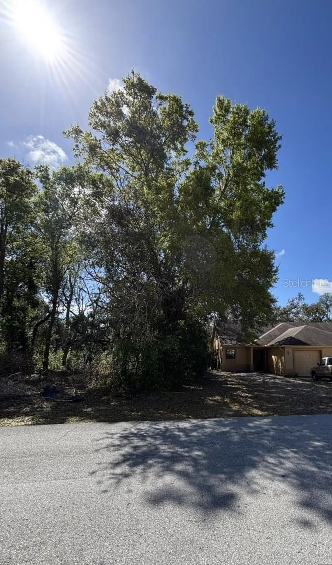 Canterbury Street Spring Hill FL 34606