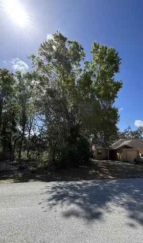 Canterbury Street Spring Hill FL 34606