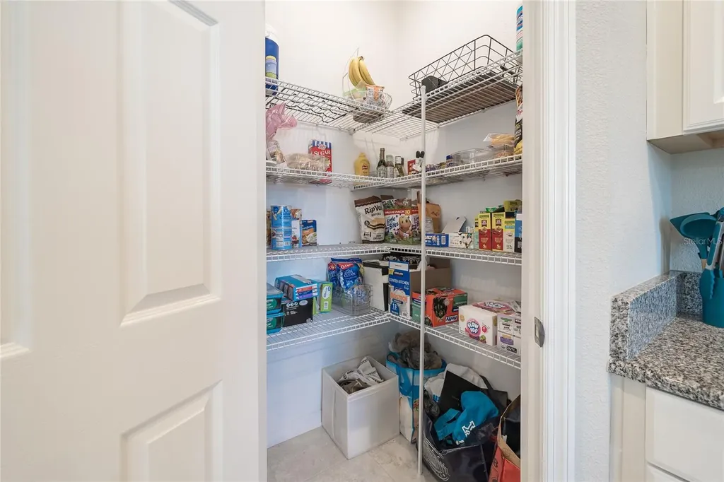 31030 Parrot Reef Court Wesley Chapel FL 33545